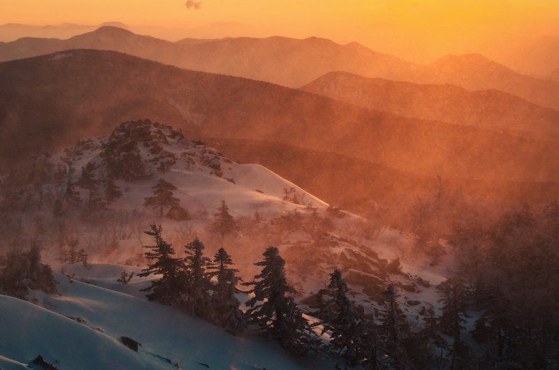 Метель, Пидан, зима, снег, вершина, ёлки, холод, камни, Приморский край Огненный рассветphoto preview