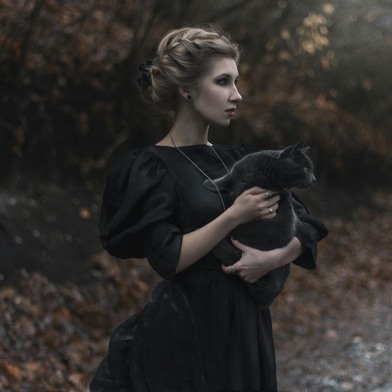 cats trikotaphoto preview