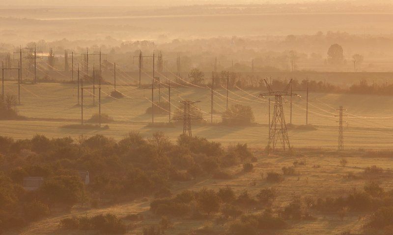 паутинаphoto preview