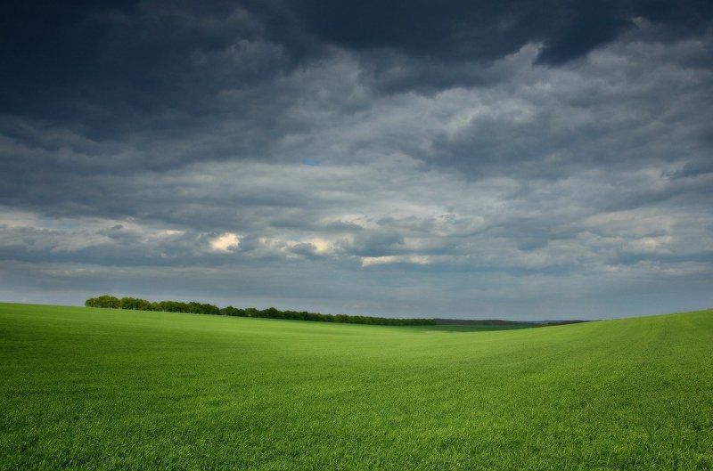 Поля и дальphoto preview