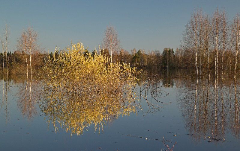 *******photo preview