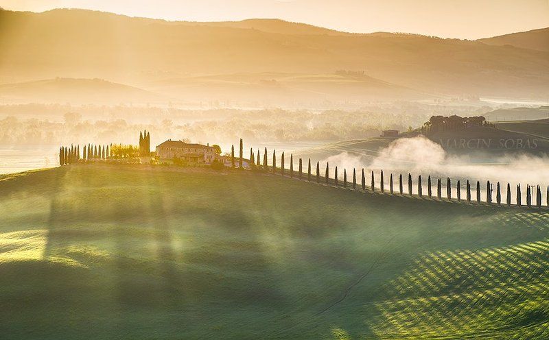 Morning cypress ridgephoto preview