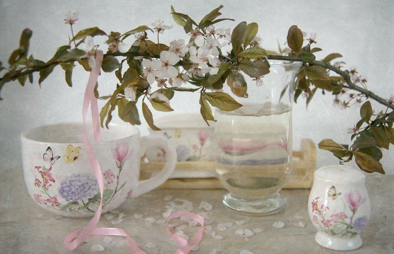 Цветет вишня фото превью