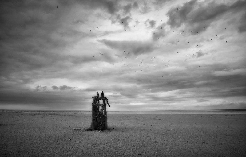 Мы вышли в океан за сутки до рассвета...photo preview