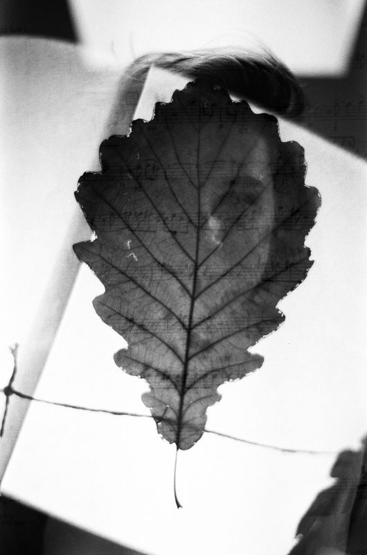 koshkinotime, dmitriysosna, sosna * * *photo preview