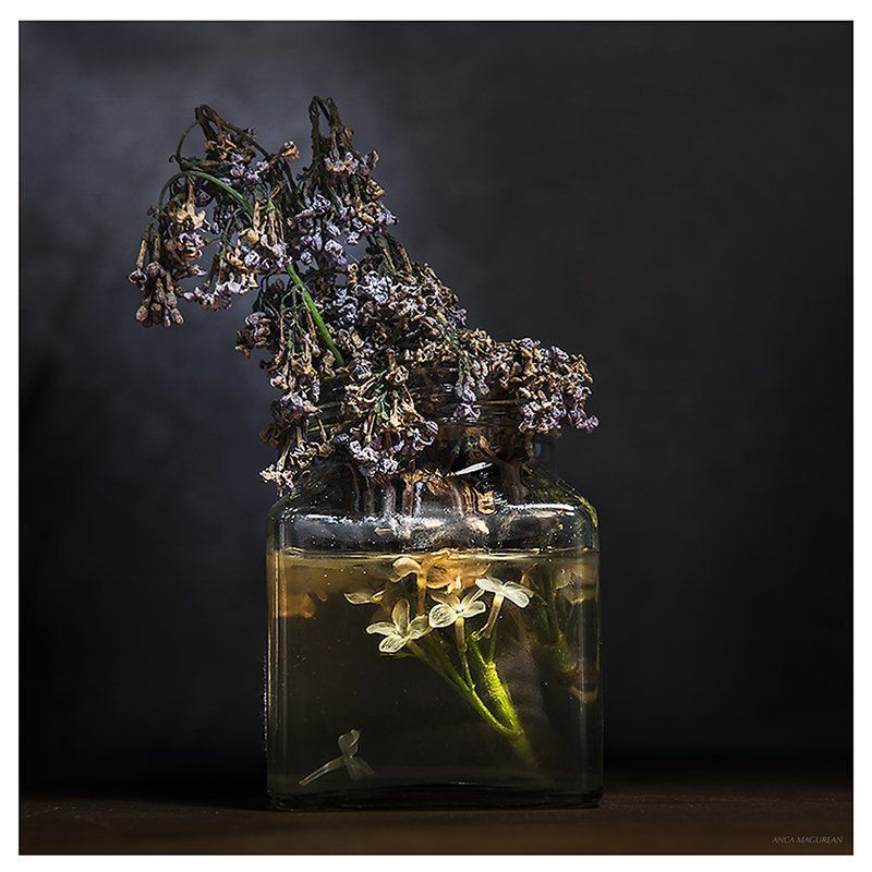 emotion, Flowers, plants, Emotionphoto preview