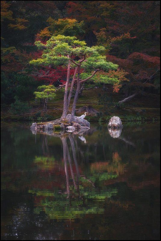 Про цаплю в японском садуphoto preview