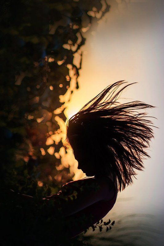 Дикобразphoto preview