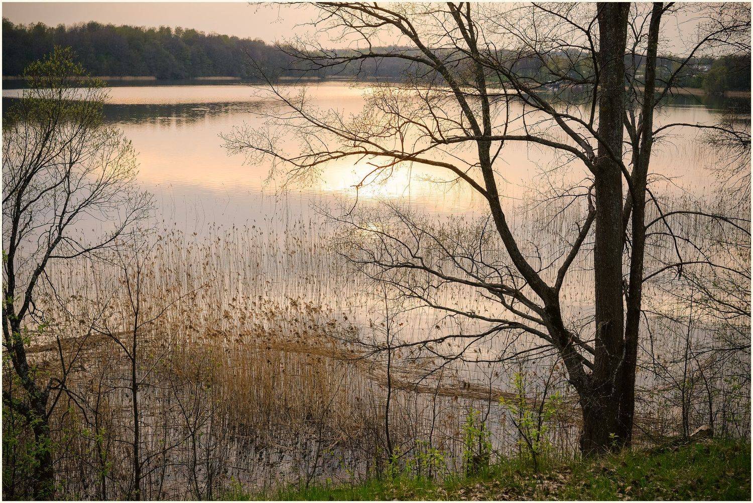 над озером. Автор: Лидия Киприч Баклановское озеро, Весна, Вечер, Красивый вечер, Май, Национальный парк, Озеро, Отражение, Панорама, Пейзаж, Природа, Розовый закат, Смоленское Поозерье, Лидия Киприч