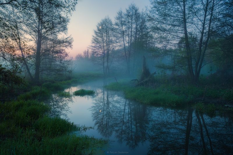 Идолга, Пейзаж, Река, Саратов, Туман, Утро Утро на малой Идолгеphoto preview