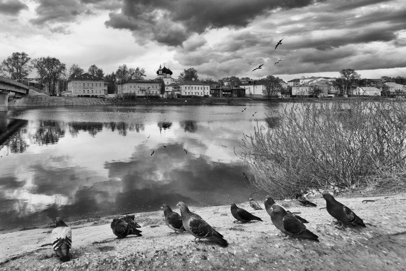 Вологда, город, набережная, река, отражение, улица Голубиphoto preview