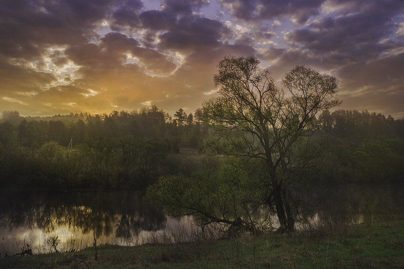 Весна, Небо, Ока, Пейзаж, Природа, Рассвет, Река, Россия, Тульская область, Утро Краски майского утра фото превью
