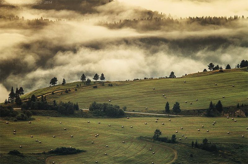 Kingdom Of Heaven XVIIphoto preview