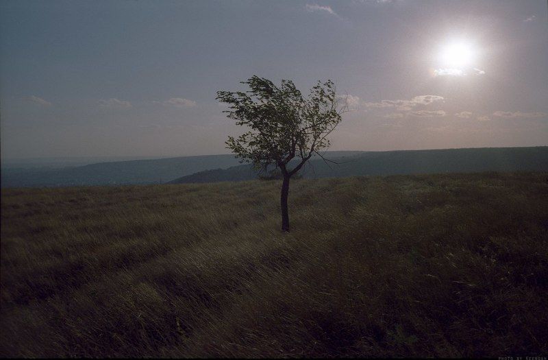 Осенний пейзаж.photo preview