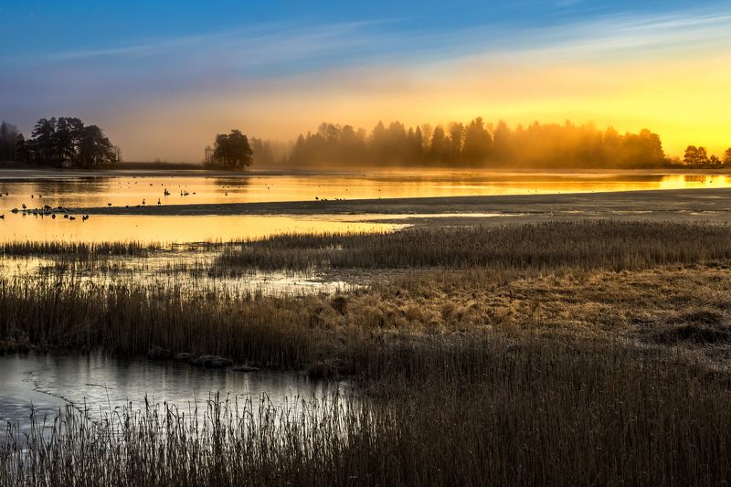 Lights entering...photo preview