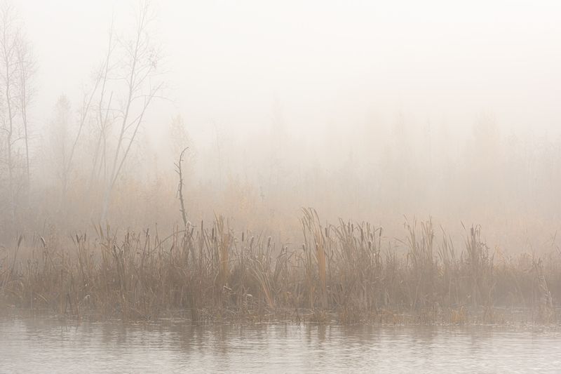 пейзаж, озеро, туман, утро, осень Туманное утроphoto preview