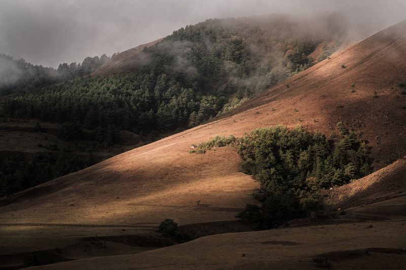 landscape, caucasus, mountines, ингушетия, пейзаж, горы, кавказ  фото превью