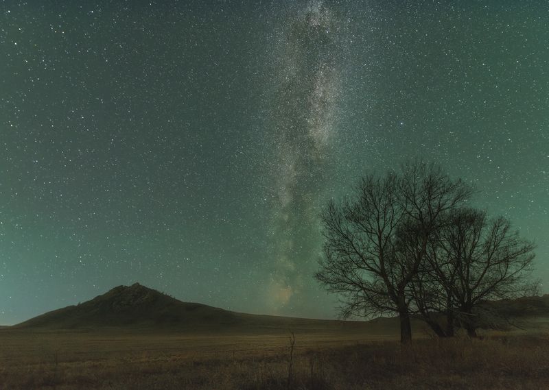 ночь, звезды, горы, деревья, млечный путь, алтай Алтайский крайphoto preview