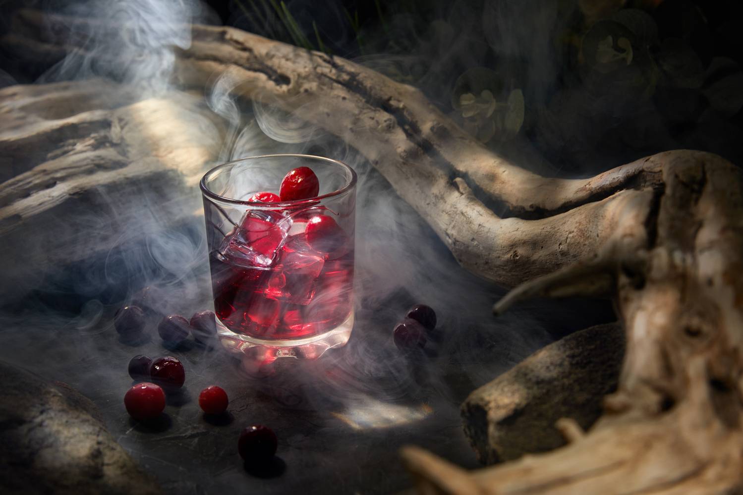 , Герц Дмитрий