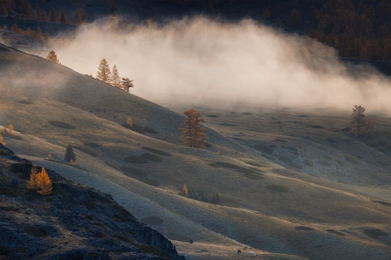 Про облачко фото превью