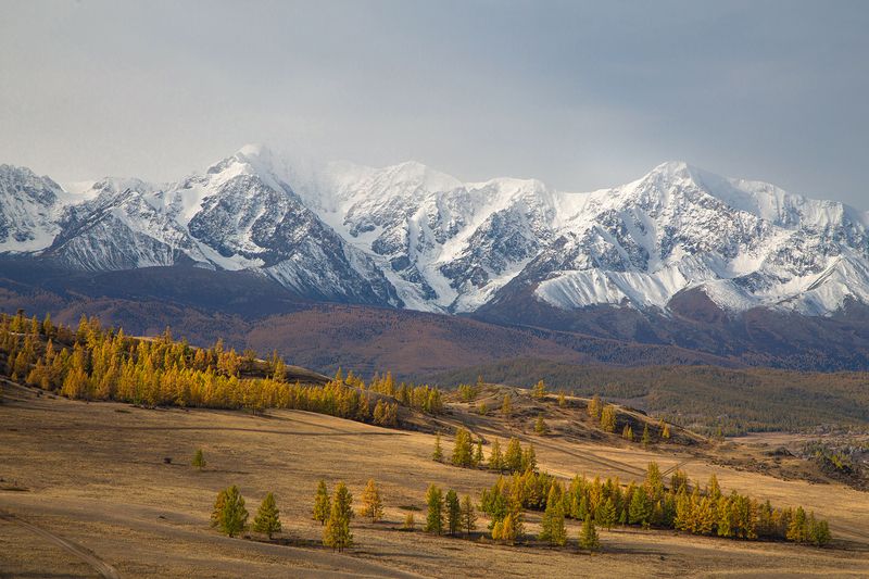 Курайская осеньphoto preview