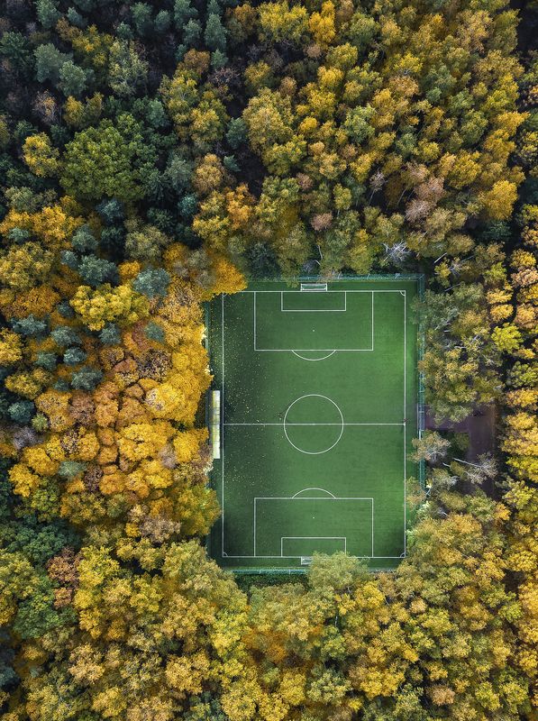 мещерский парк, осень, золотая осень, подмосковье, аэросъемка, топчанун, дронофотография, вид сверху Золотая осень в Мещерском паркеphoto preview