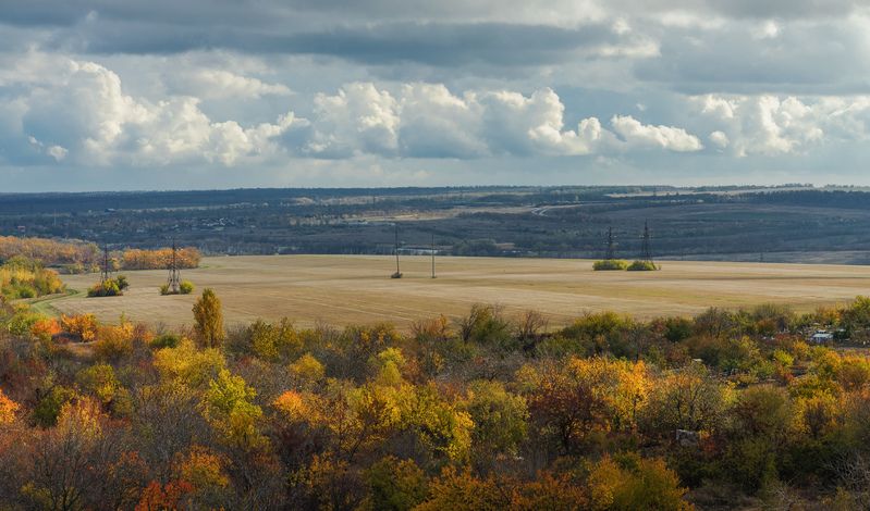 После дождя.photo preview