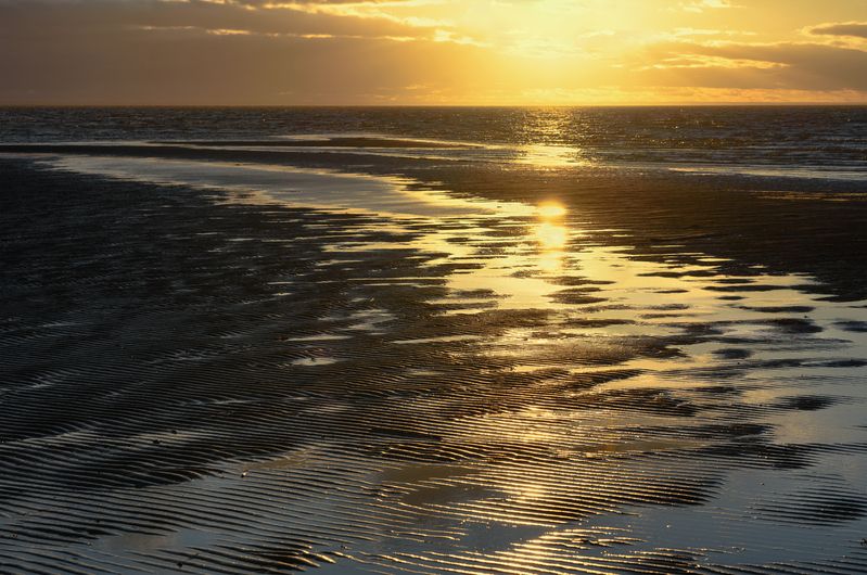 осень, сентябрь, море, белое море, вода, берег, отлив, вечер, закат, золотой закат Золотой закат, Белое мореphoto preview