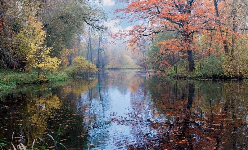 природа, парк, усадьба, осень, пруд Тихая осеньphoto preview