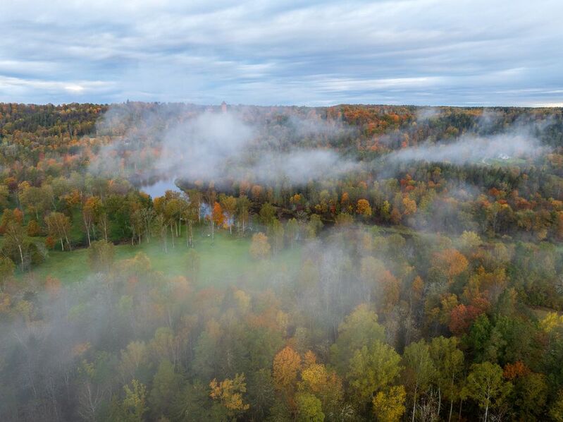сигулда, осень, sigulda Краски осениphoto preview
