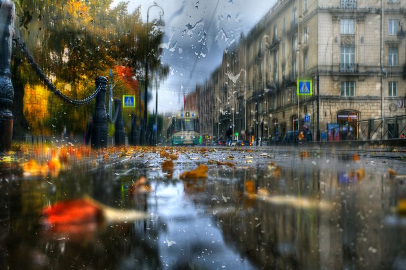 осенний дождь...photo preview