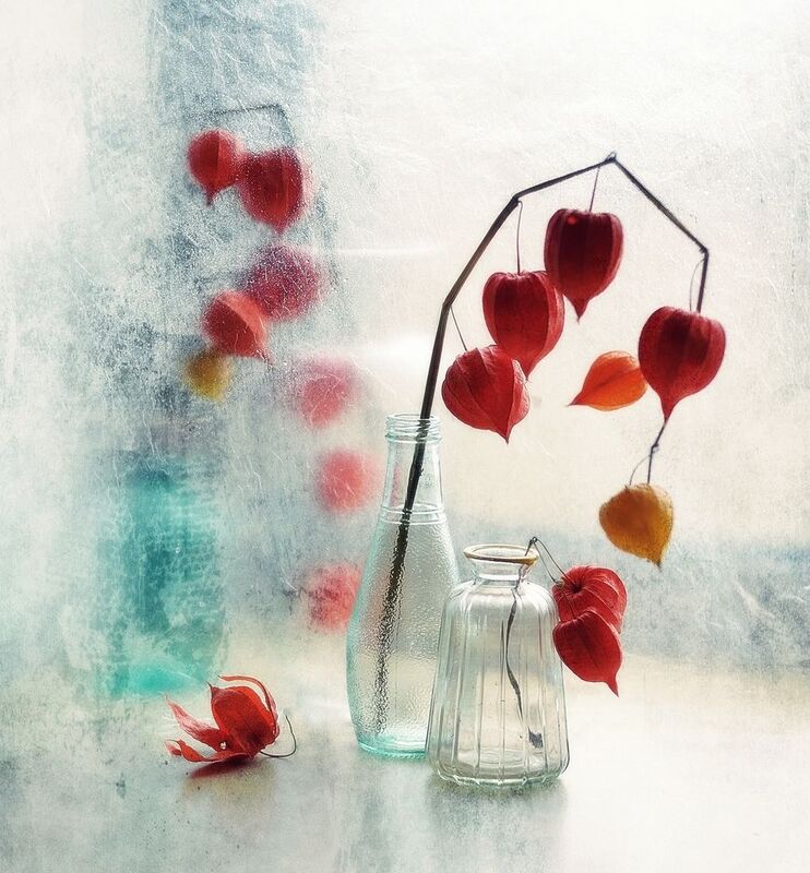 натюрморт,осень,физалис,стекло фонарики...photo preview