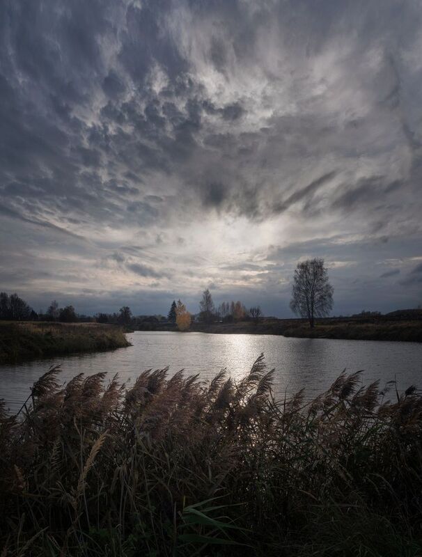 деревня, свет, день, природа, тульская обл. ***photo preview