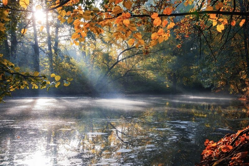 Осенним утром...photo preview