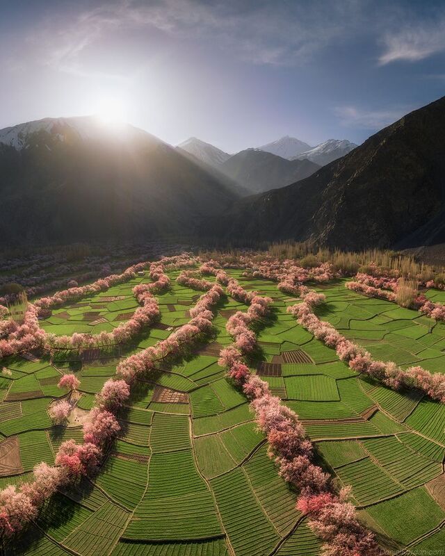 Pakistanphoto preview