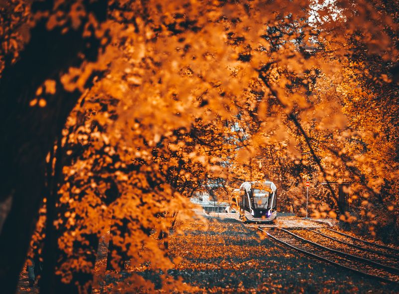 Осенний трамвайphoto preview