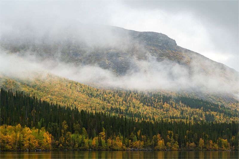 Куйвчоррphoto preview