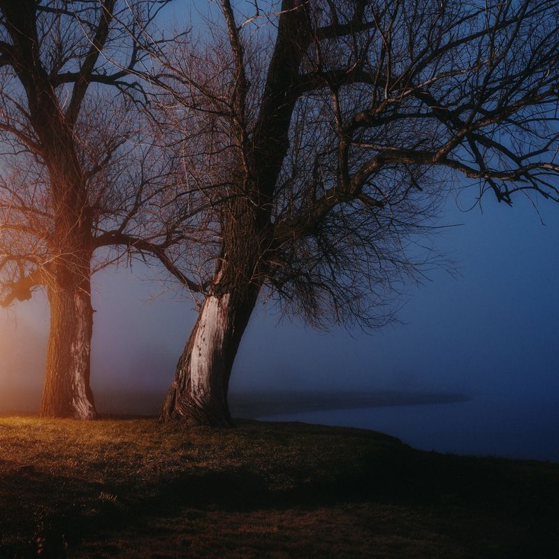 Fine Art, Пейзаж, Туман, Ночь, Деревья, Синий, Оранжевый, Контраст, Атмосфера, Мистика, Тайна, Одиночество, Тишина, Вода, Река, Ночной пейзаж, Свет, Тьма, Порог, Грань, Кинематографично, Концептуальное. Грань мировphoto preview