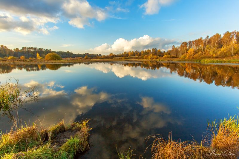 Костромской край.photo preview