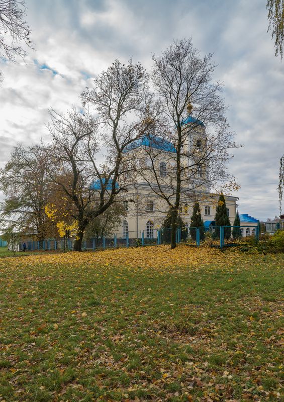 Грачи улетелиphoto preview