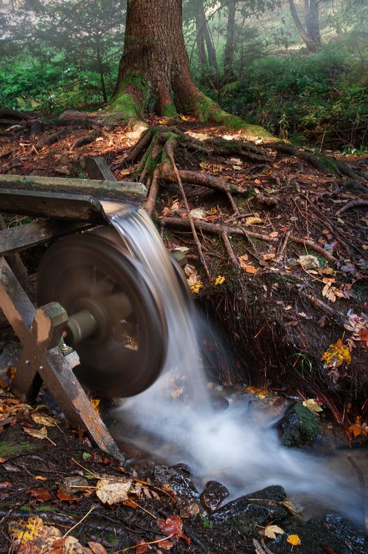 ручей лес вода дерево мельница Мельницаphoto preview