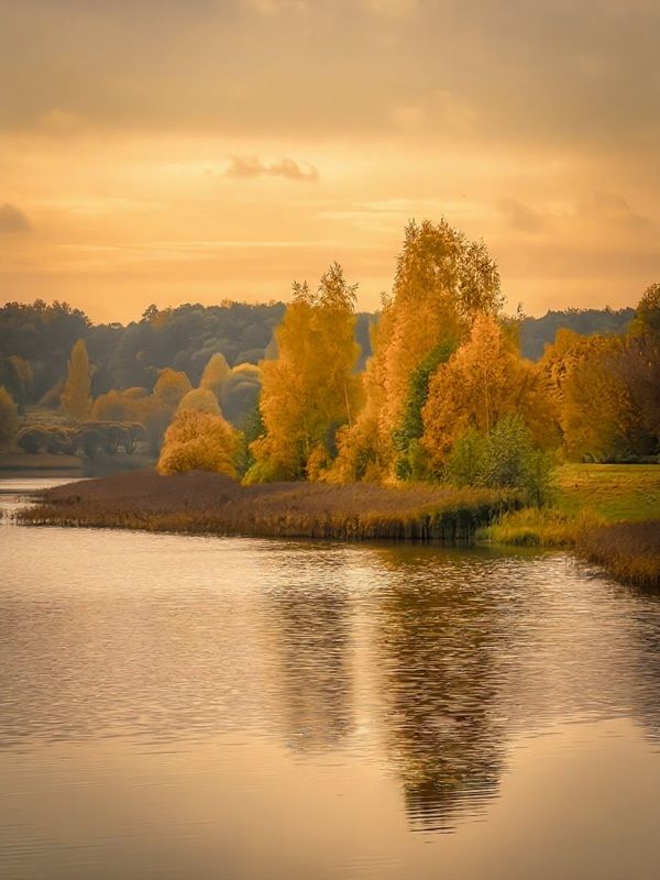 пейзаж, landscape, nature, природа, осень, autumn, золотаяосень, goldatum, пруд ***photo preview