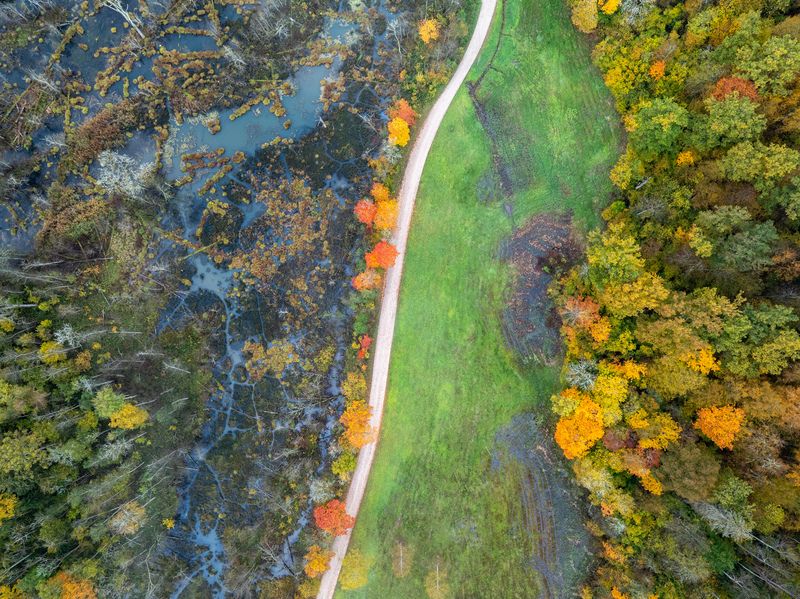 Осень наступаетphoto preview