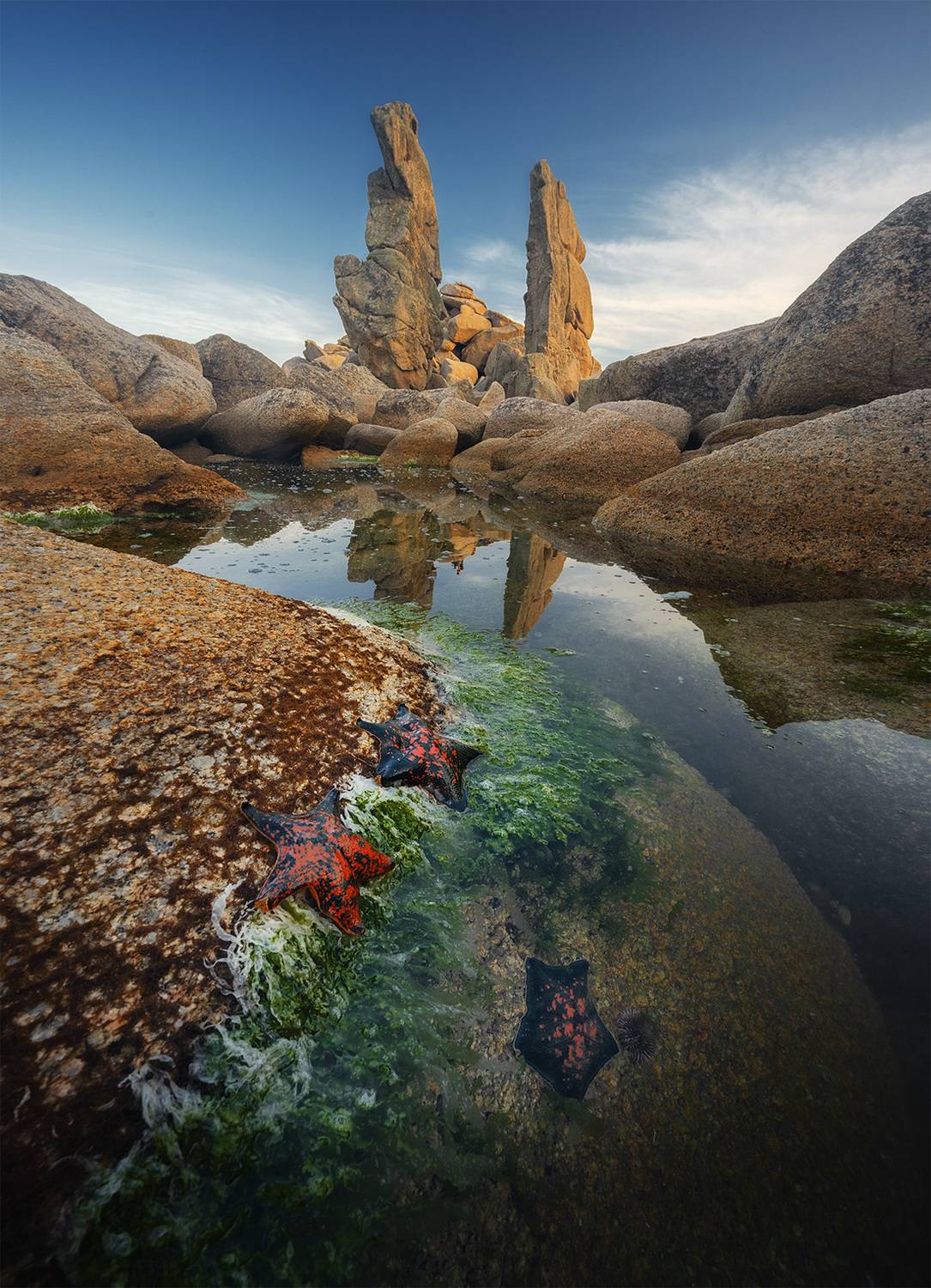 , Андрей Родионов