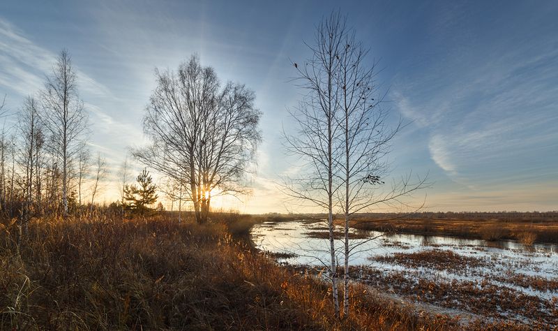 осень, октябрь, березы, водоем, поля, закат октябрьский, закатный. фото превью