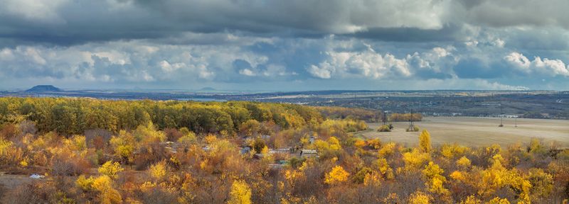 Осень за окном.photo preview