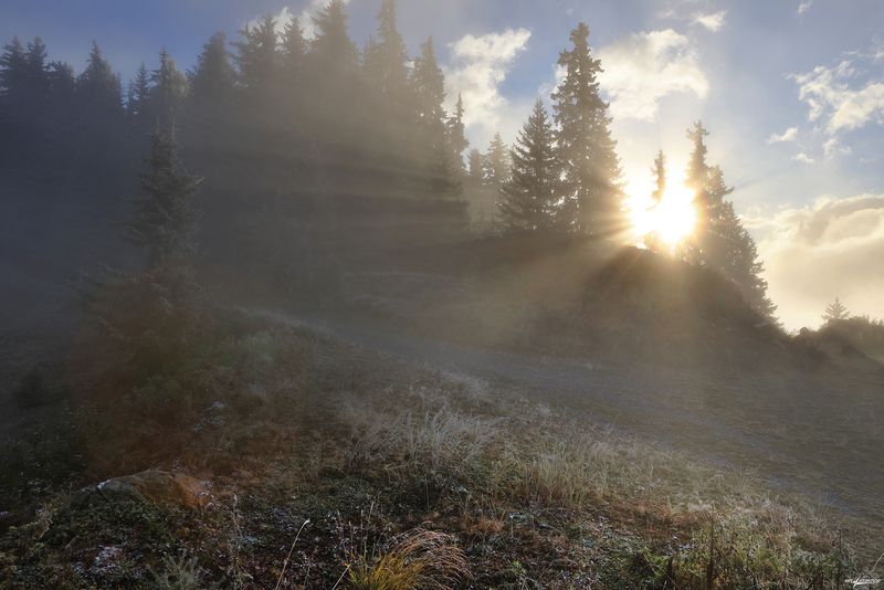 swiss Здравствуй Утроphoto preview