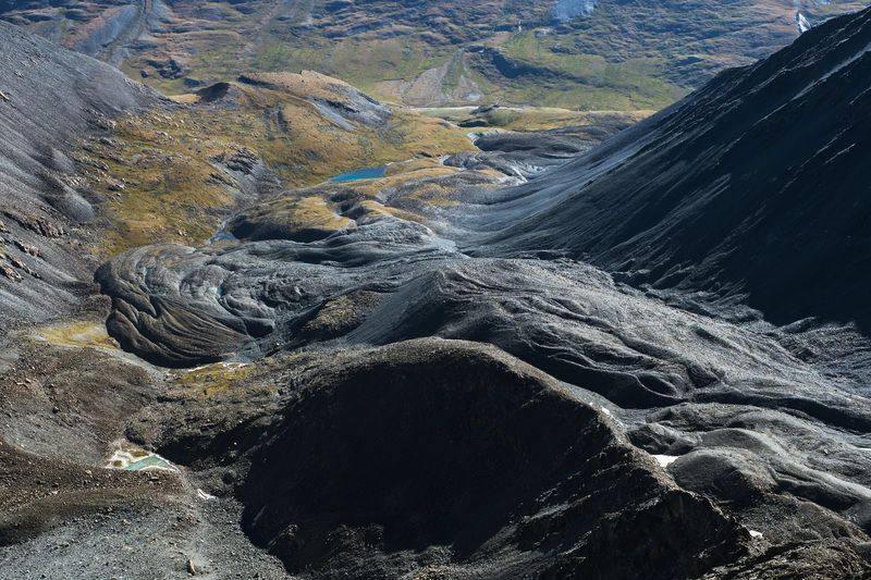 алтай Мореныphoto preview