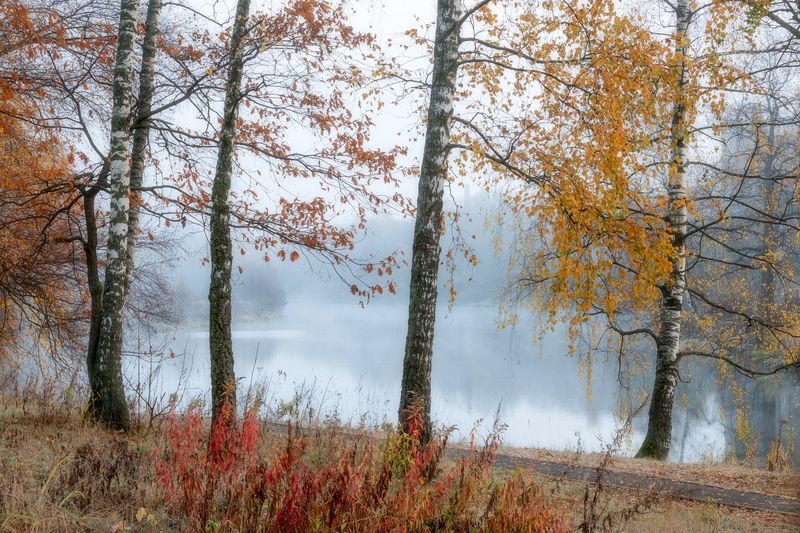 туман, осень, природа, пейзаж, осенний пейзаж Туманное утроphoto preview