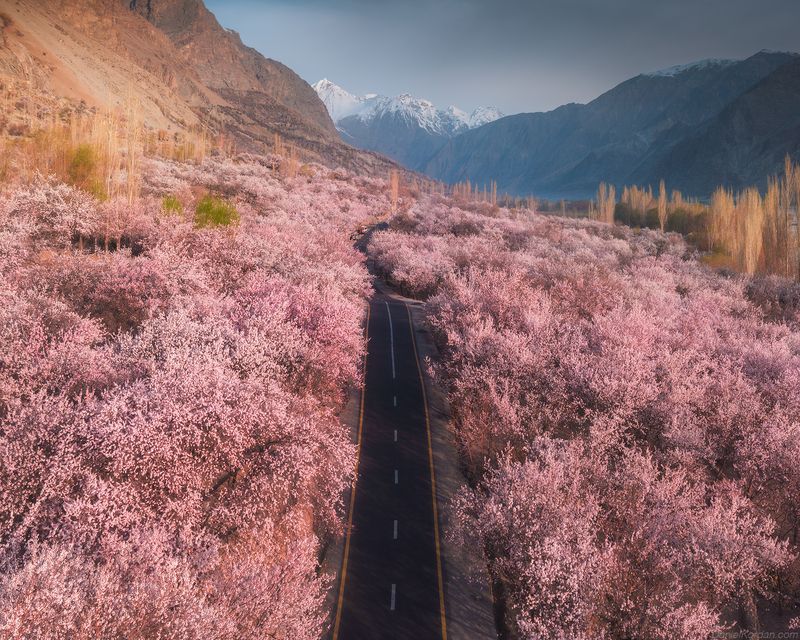 Pakistanphoto preview